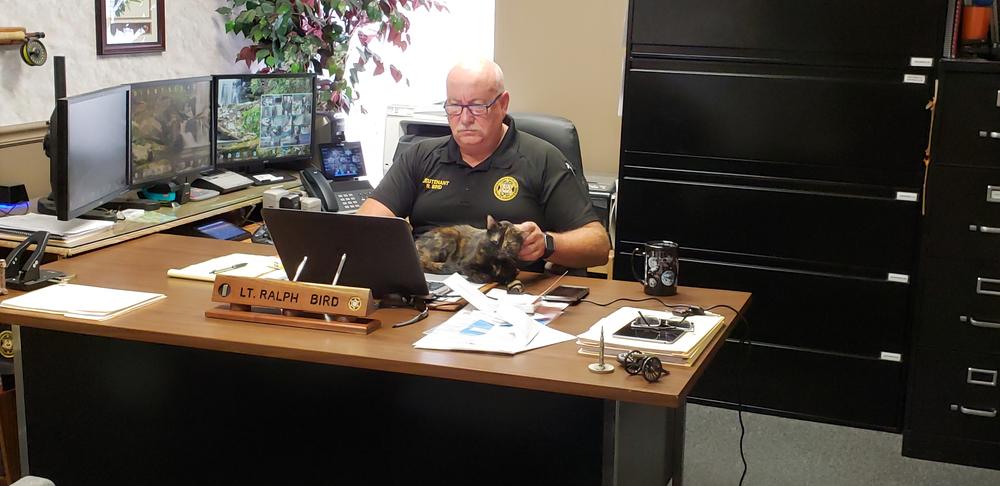 Cornbread the Cat on Lt. Bird's Desk