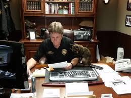 Cornbread the Cat on Sheriff Montgomery's Desk
