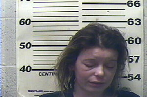 Warrant photo of Roxanne Meaux Wells