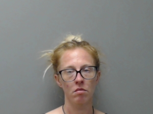 Warrant photo of Sarah Anne Orms