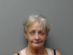 Warrant photo of Cynthia Lynn Ferguson